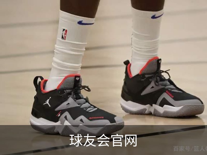 球友会官网简介